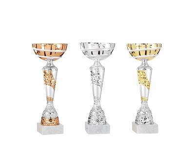 Pokal Politimesteren