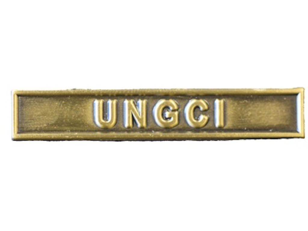 Spange: UNGCI - UNMISS  
