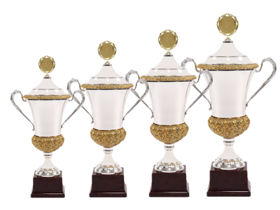 Pokal