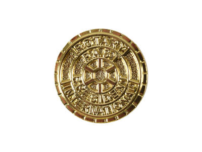 Rotary Past President 14 mm (lang nål)