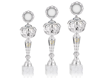 Pokal Kronprinsessen