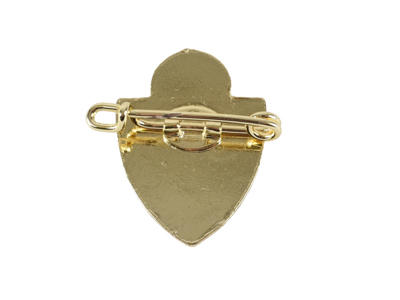 Spangsbjerg IF m/nål