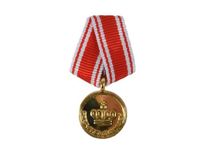 Forsvarsministerens medalje, Forgyldt