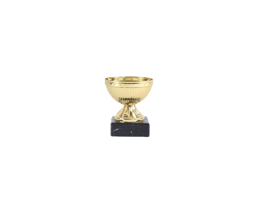Pokal Lemvig