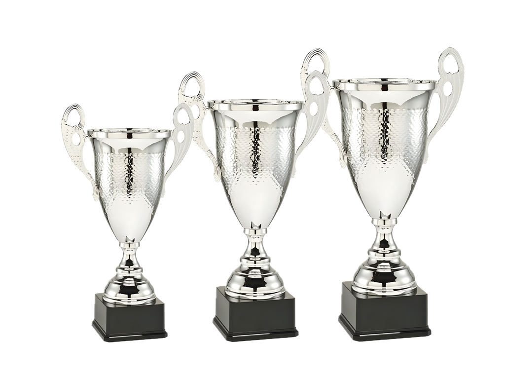 Pokal Erobreren Sølv