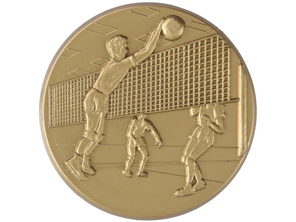 Volleyball herre - 50 mm