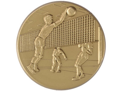 Volleyball herre - 50 mm