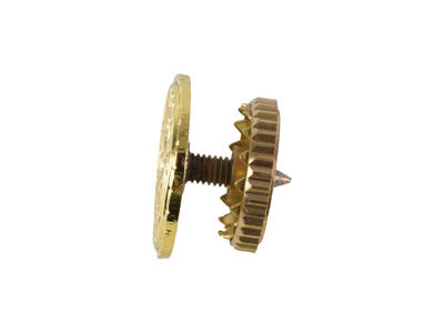 Rotary Past President 13 mm