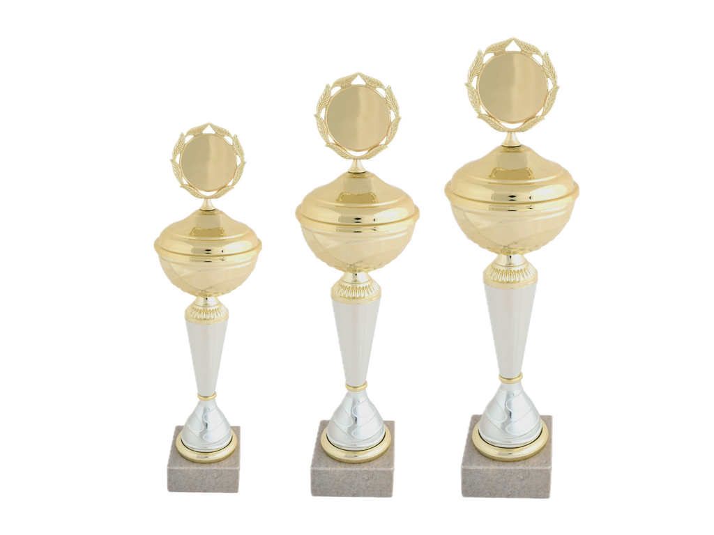 Pokal Overvagtmesteren