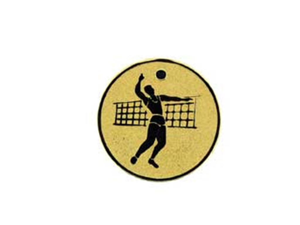 Volleyball (Herre) - 25 mm