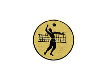 Volleyball (Herre) - 25 mm