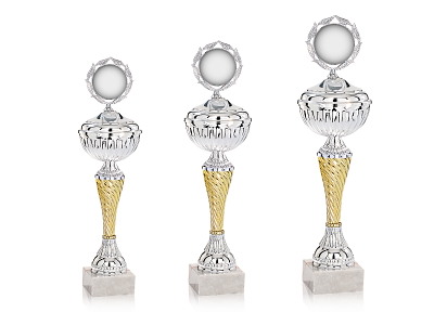 Pokal Flyverløjnanten