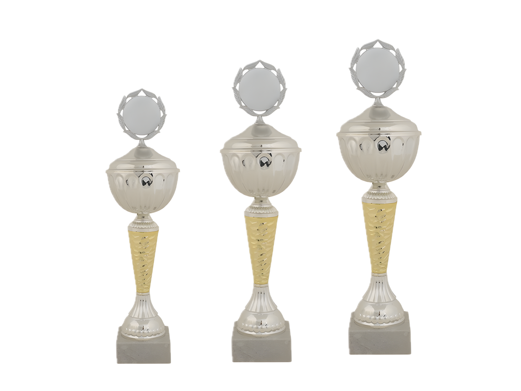 Pokal Brigadegeneralen