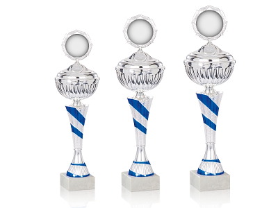 Pokal Rigspolitichefen