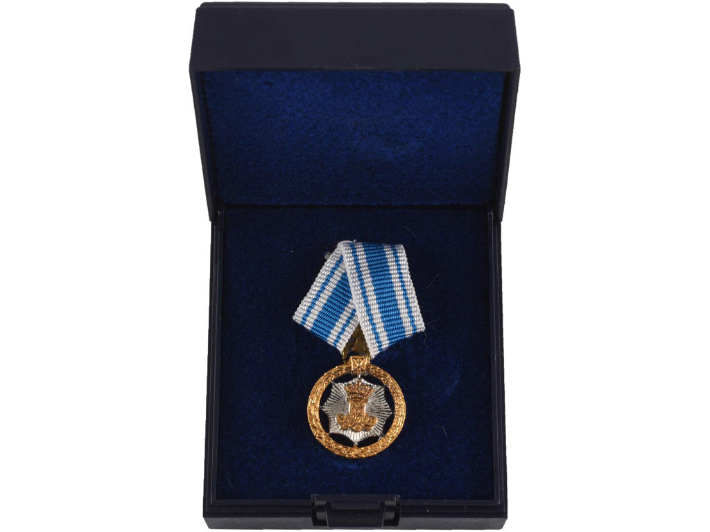 10 Års Jubilæumstegn miniature