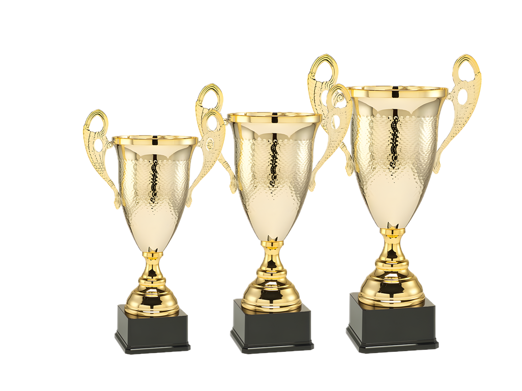 Pokal Triumfator Guld